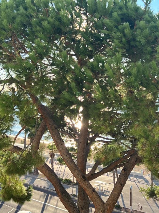 Vacances Paradisiaques, Plage Cannes Boccacabana, Studio 外观 照片